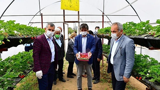 'Çiftçilerimize 100 Bin Adet Sebze Fidesi Dağıtıyoruz' 