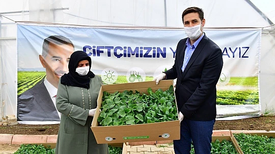 'Çiftçilerimize 100 Bin Adet Sebze Fidesi Dağıtıyoruz' 