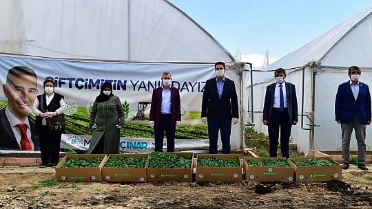 'Çiftçilerimize 100 Bin Adet Sebze Fidesi Dağıtıyoruz' 