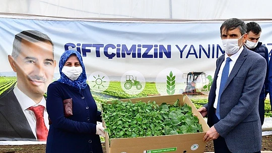 'Çiftçilerimize 100 Bin Adet Sebze Fidesi Dağıtıyoruz' 