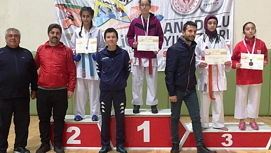 ANALİG Karate Çeyrek Final Müsabakaları Muş'ta Yapıldı