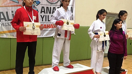 ANALİG Karate Çeyrek Final Müsabakaları Muş'ta Yapıldı