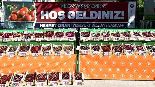 Çınar, Dalbastı Kirazımız Yeşilyurt'un En Önemli Simgesidir