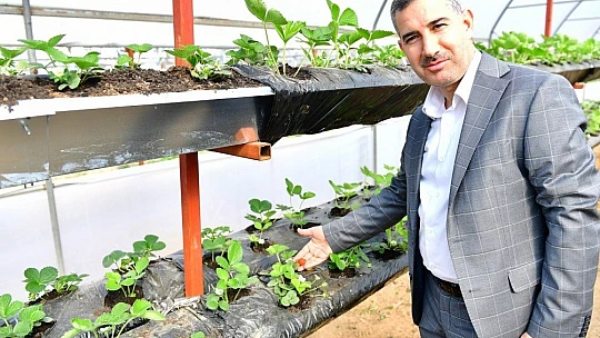 Başkan Çınar, İnsan Sağlığı İçin Doğal Ürünler Tüketilmeliyiz