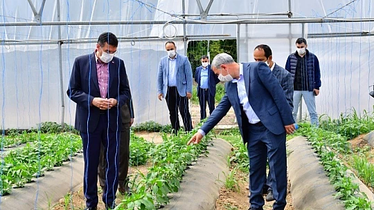 Tüfenkçi, Yeşil Gıda Seracılık Alanında İncelemelerde Bulundu