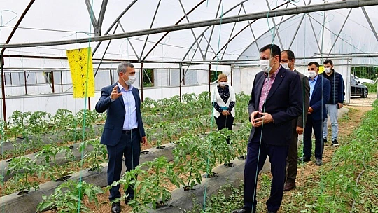 Tüfenkçi, Yeşil Gıda Seracılık Alanında İncelemelerde Bulundu