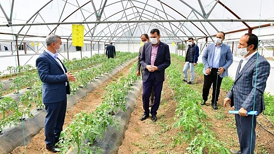 Tüfenkçi, Yeşil Gıda Seracılık Alanında İncelemelerde Bulundu