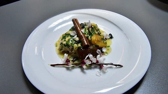 Kayısı Çiçeği Festivali Kale'de Devam Ediyor