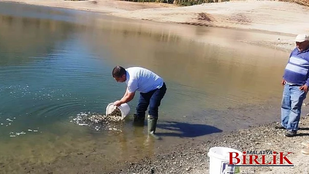 2020 Yılı Yavru Balık Üretim Hasat Dönemi Başladı