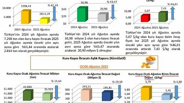 2025 yılı Ağustos ayı Kuru Kayısı Dış Ticaret Raporu Yayımlandı