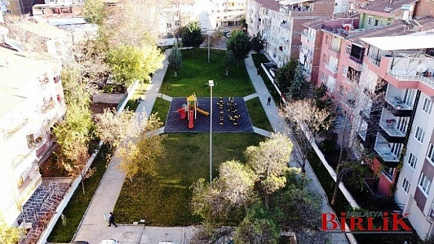 25 Bin Kök Süs Bitkisinin Dikimi Yapılıyor