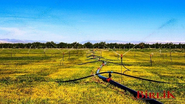 300 Dönümlük Alanda Fidan Üretim Merkezi Kuruldu