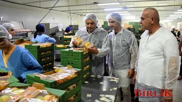 Sadıkoğlu, 5 Bin Ton Yaş Kayısı İhracatı Gerçekleştirdik