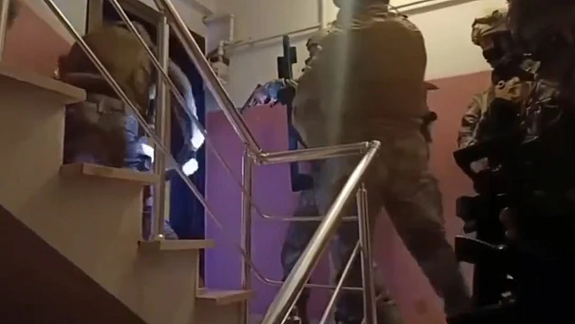 9 ilde organize suç örgütüne operasyon: 42 gözaltı