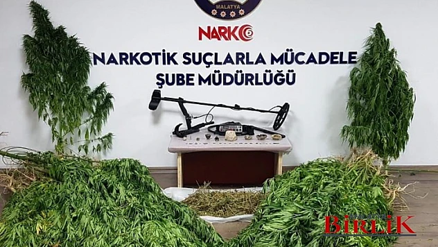 97 Kök Hint Keneviri Yakalandı