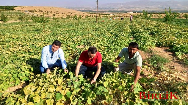 Akçadağ'da Uzman Çavuşluktan Çiftçiliğe