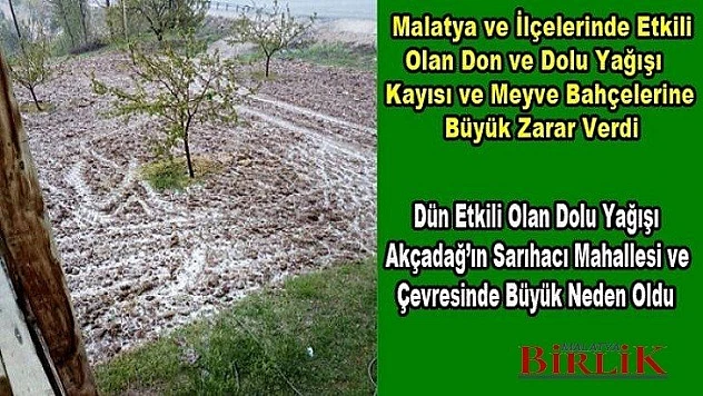 Akçadağ'ın Bazı Mahallelerinde Kayısı Bahçelerini Dolu Vurdu
