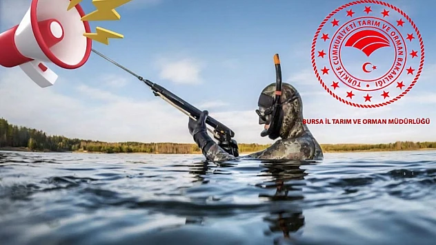 Amatör balıkçılar için sualtı avcılığında yeni zorunluluk