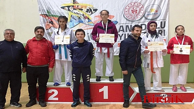 ANALİG Karate Çeyrek Final Müsabakaları Muş'ta Yapıldı