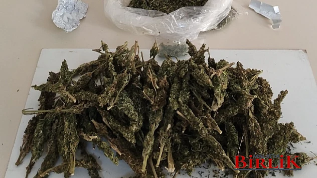 Asayişten Kaçış Yok