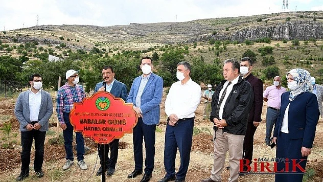 Babalar Günü Hatıra Ormanı'nda Fidanlar Toprakla Buluştu