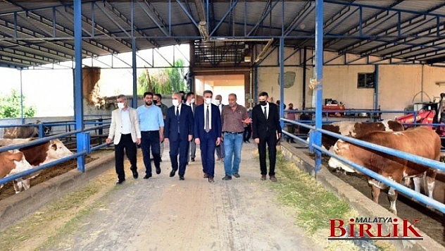 Bakan Yardımcısı Tunç,  Tarım ve Hayvancılık Faaliyetlerini İnceledi