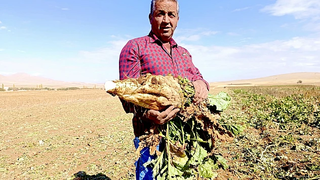 Başdirek'te pancar üretimi su ve mazot giderine takıldı