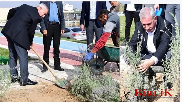 Başkan Çınar, Bostanbaşı Mahallesindeki Lavanta Parkı İnceledi