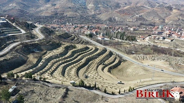 Başkan Çınar, Gündüzbey'de Kurulan 'Kiraz Ve Vişne Bahçesi' Alanını İnceledi