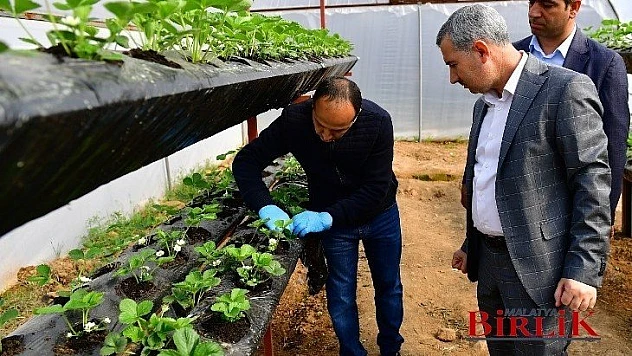 Başkan Çınar, İnsan Sağlığı İçin Doğal Ürünler Tüketilmeliyiz