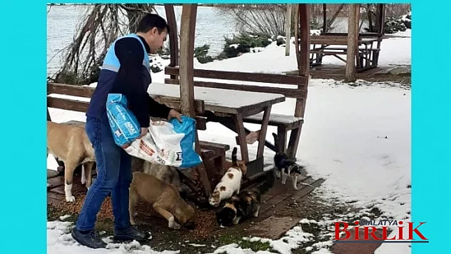 Başkan Güder, Can Dostlarımızı Soğukta Yalnız Bırakmıyoruz