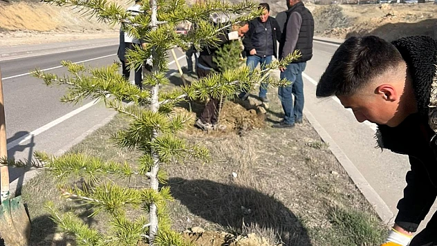 Başkan M. Şerif Yıldırım Çalışıyor, Hekimhan Güzelleşiyor
