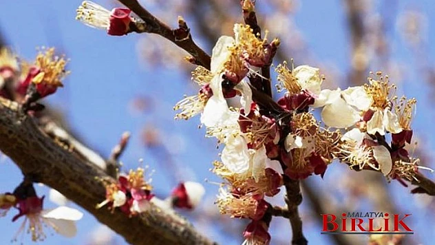 Başkan Sadıkoğlu, Malatya Afet Bölgesi İlan Edilmeli