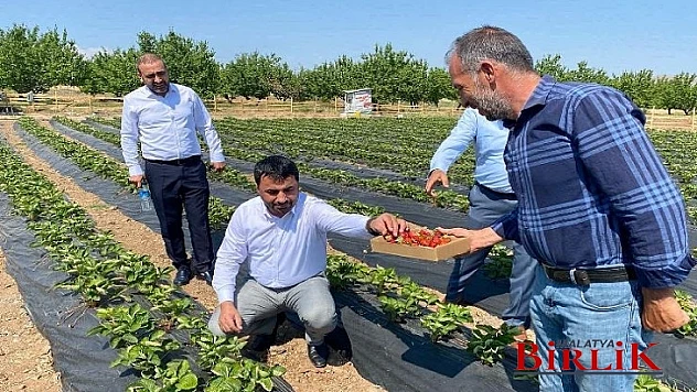 Başkan Samanlı, Çiftçilerimizi Unutmadı