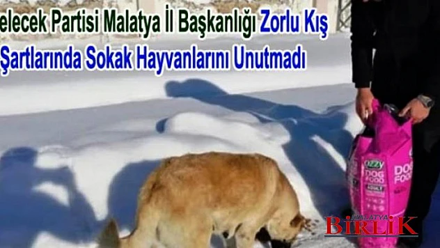 Başkan Uçkan, Sokak Hayvanlarını Unutmayalım