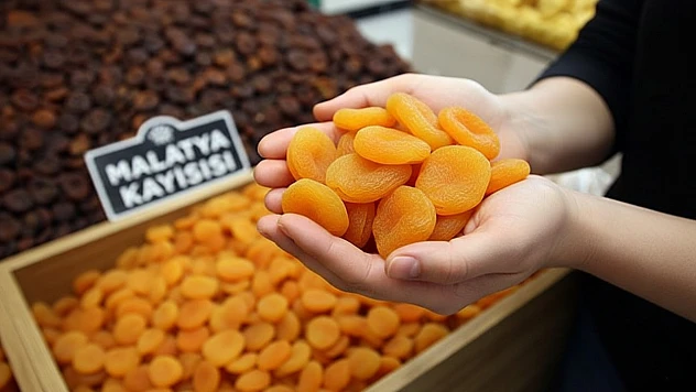 Baskil Kayısısı Tartışması: Avrupa Birliği Belgeleri Malatya'yı mı, Bölgeyi mi Koruyor?