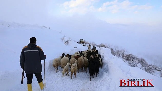 Battalgazi Belediyesi Ekipleri, Üretici Ve Hayvanlarını Kurtardı