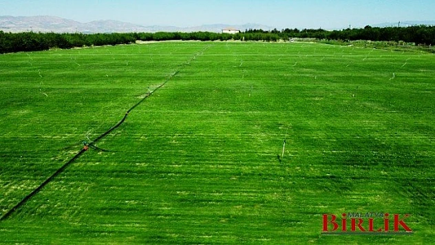 Battalgazi Belediyesi 'Rulo Çim Üretim Tesisi' Kurdu