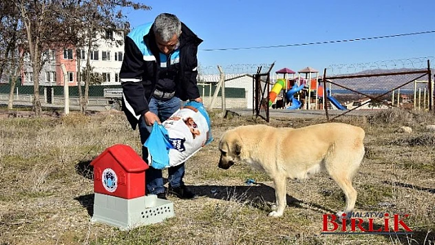 Battalgazi'de Can Dostlar İçin 19 Yeni Besleme Noktası