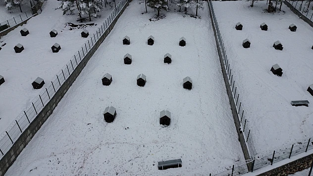 Battalgazi'de Sahipsiz Hayvanlara Yeni Umut