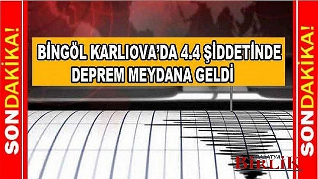 Bingöl Karlıova'da 4.4 Şiddetinde Deprem Meydana Geldi