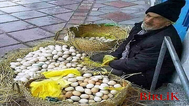 Bir Dostumuzun Kaleminden