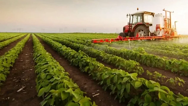 Bitkisel üretim desteklerine ilişkin usul ve esaslar belirlendi