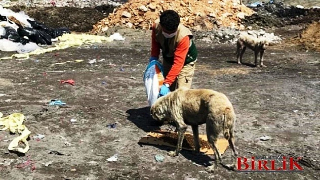 Büyükşehir Belediyesi Sokak Hayvanlarını Unutmadı