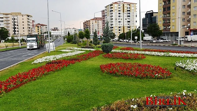 Büyükşehir Belediyesinden Malatya'nın Yeşil Dokusuna Önemli Katkı