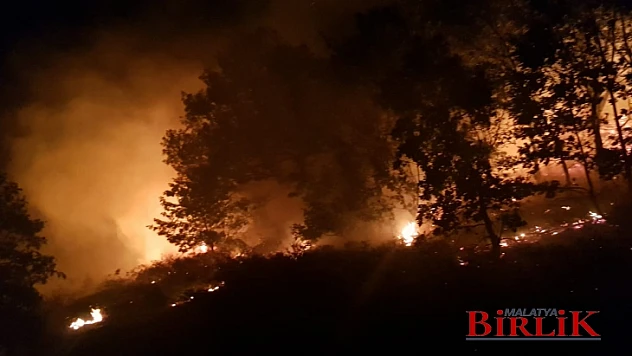 Büyükşehir İtfaiyesi 3 Günde 139 Yangına Müdahale Etti