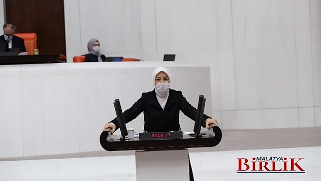 Çalık, TBMM Genel Kurulunda Konuştu