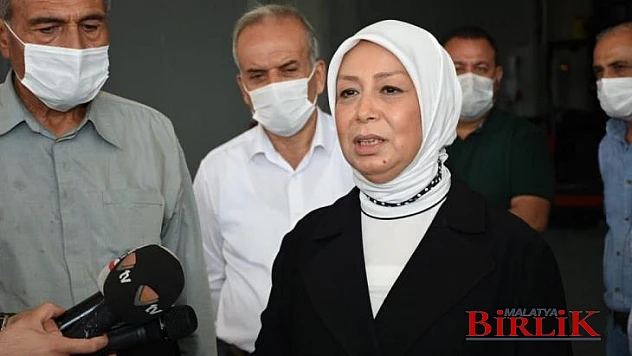 Çalık, TMO'nun Kayısıdaki Müdahale Alımları İhracata Ciddi Katkı Sunacak