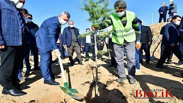 Çevkor Dergisinden Millet Bahçesine 750 Adet Toros Sediri Hediyesi