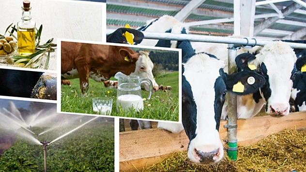 Çiftçilere tarımsal destekleme ödemesi yapılacak